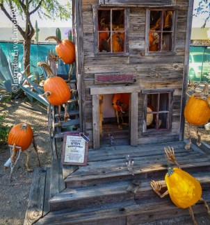 stem enhancement for pumpkins in Carefree Arizona