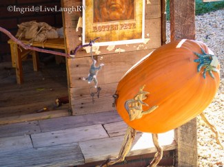 pumpkins in Carefree Arizona