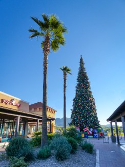 tallest Christmas tree in Arizona