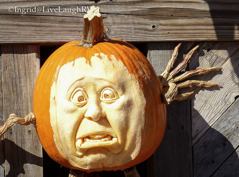 It’s About the Feel