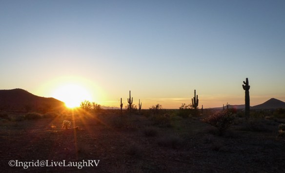 sunrise in the desert southwest