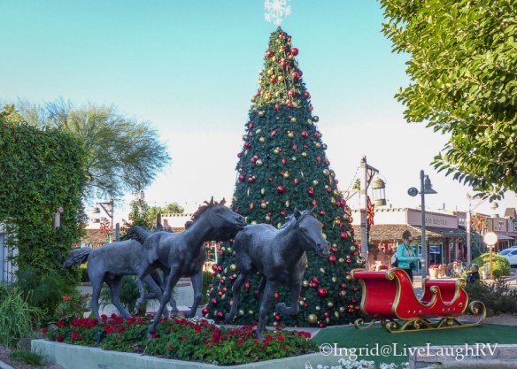 The Yearlings Scottsdale Arizona