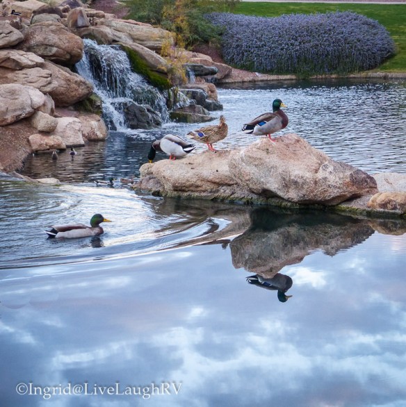 Reflections of life. Tips on finding creative inspiration.