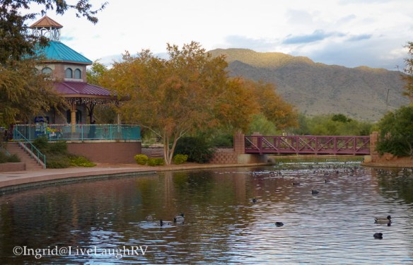 reflecting on life, thought provoking