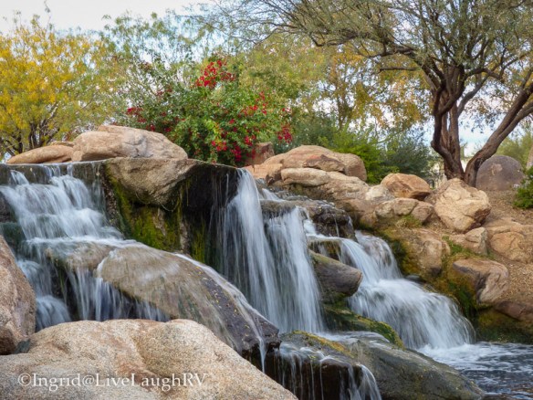 Visiting the park in Anthem Arizona. Waterfalls, ponds and birds.