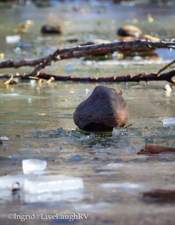 what is bokeh, close up image of a rock surround by ice