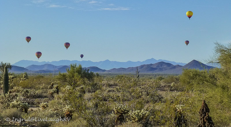 image of the Sonoran Desert with hot air balloons in the sky