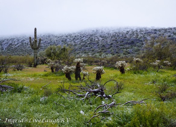 a dusting of snow on a gloomy day in Phoenix