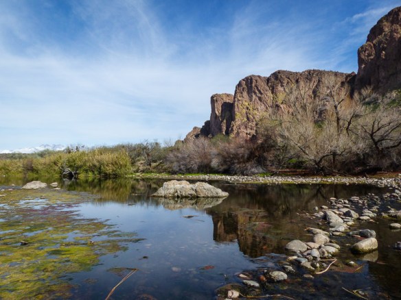 Salt River, Phoenix, AZ