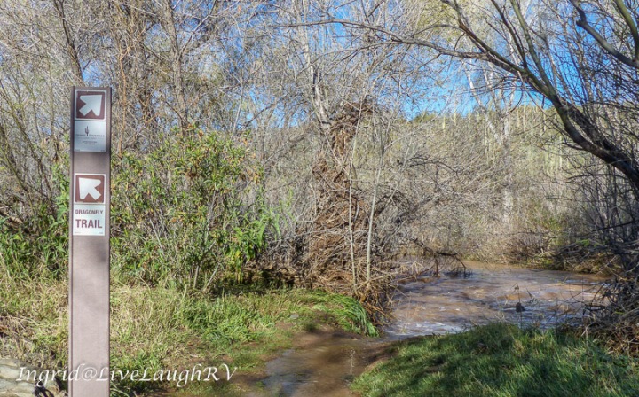 a flooded trail at Spur Cross Ranch, Cave Creek, AZ