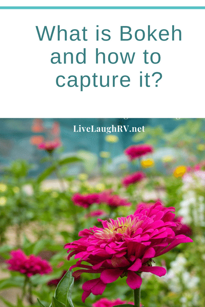 #what is bokeh, #How to capture bokeh, #photography tips, #blurry background,