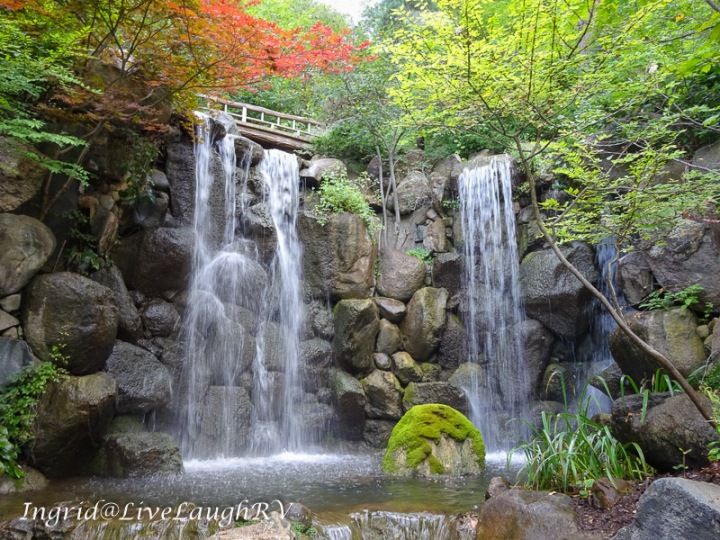 waterfall at the Japanese Tea Garden