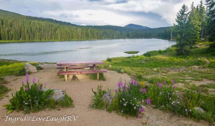 camping near Crested Butte, Colorado, at Lake Irwin Campground, wildflowers, a picnic table and mountain lake