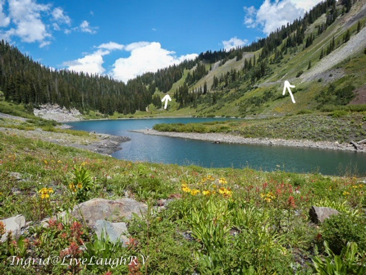 Emerald Lake, Crested Butte, Colorado, mountain meadow wildflowers along the shore of an emerald colorado lake in Colorado's high country