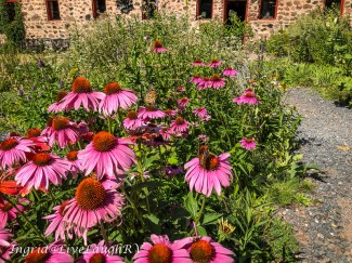 Beautiful garden in front of a historic stone trimmed barn