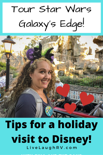 tips for a holiday visit to Disneyland what to eat and where to stay