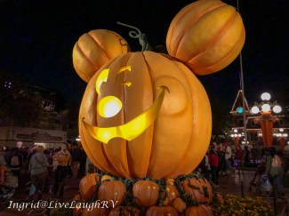 Mickey mouse pumpkin at Disneyland