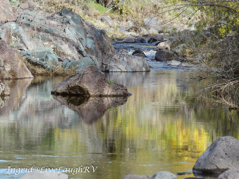 reflections in water
