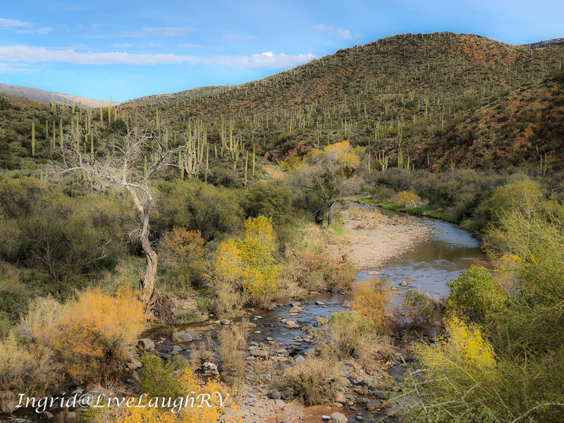 One of a Kind Sights in&nbsp;Arizona