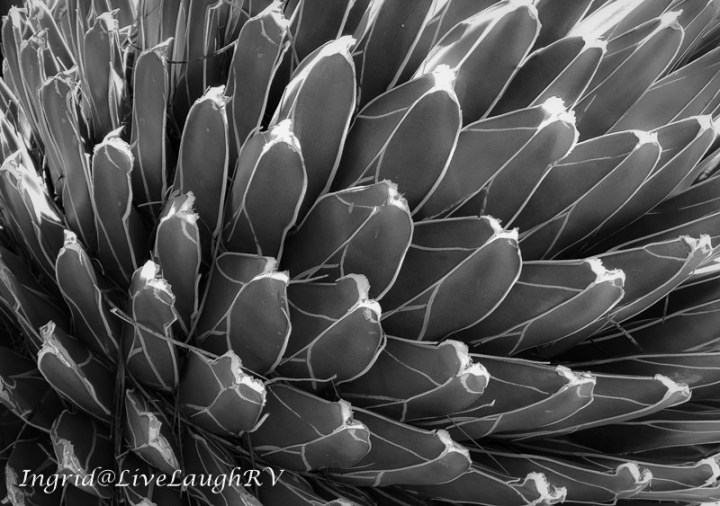 texture in photographs