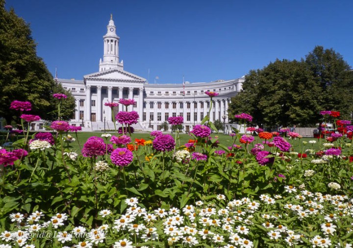 flowers in front of an official building in Denver