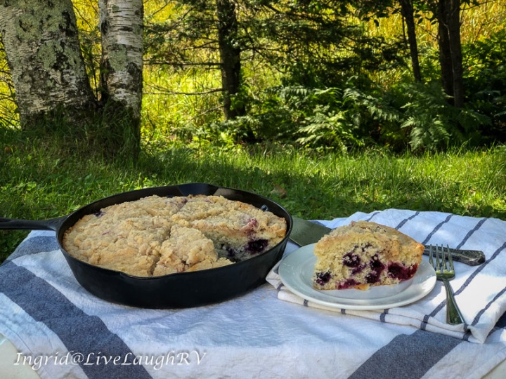 blueberry coffee cake in a cast iron skillet, picnic