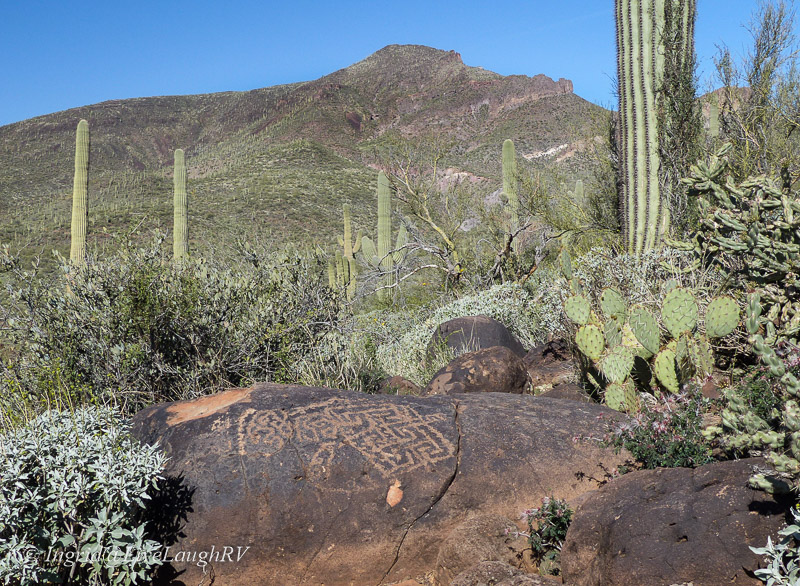 Blog Book | Dog Days of&nbsp;Summer