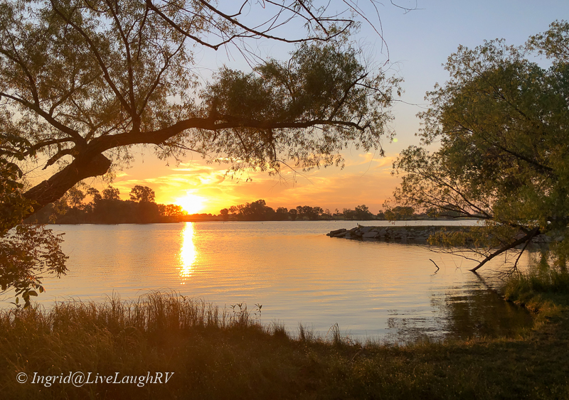 The Emerging of&nbsp;Dreams