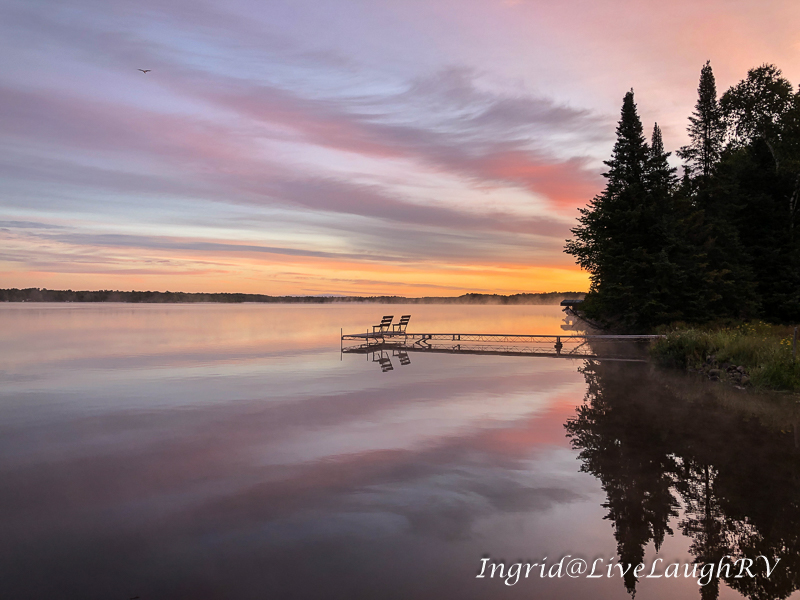 Dog Days of&nbsp;Summer