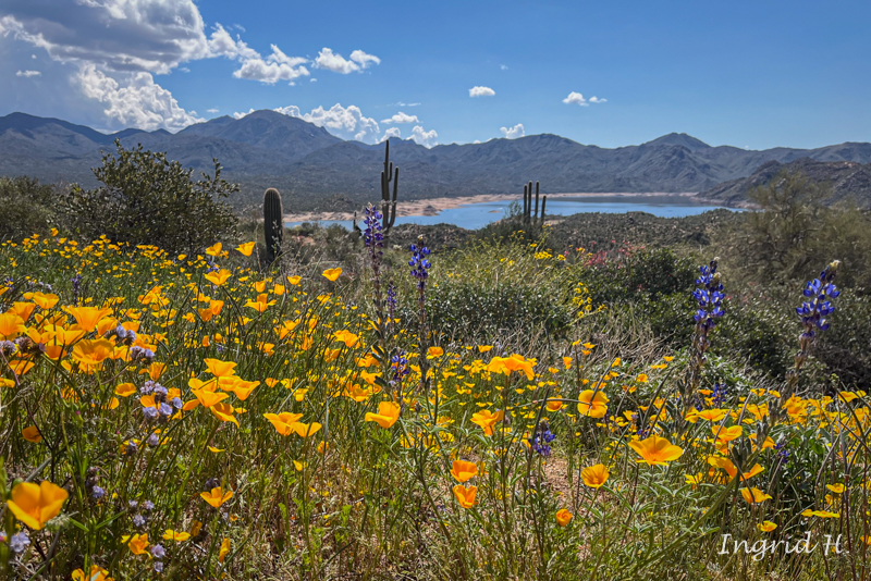 Not Lost, Just Turned&nbsp;Around